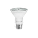 LAMP1